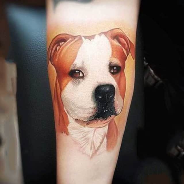 тату стафф терьер