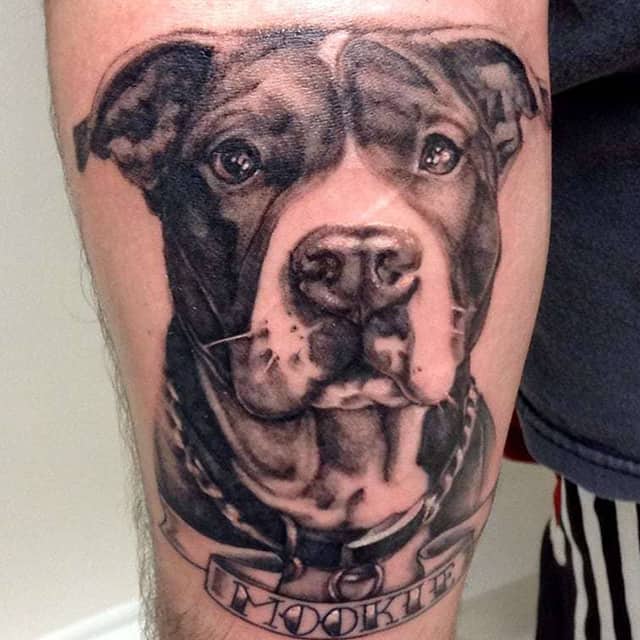 тату стафф собака