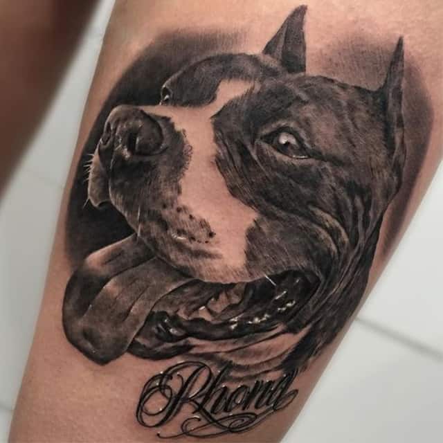 тату стафф чб