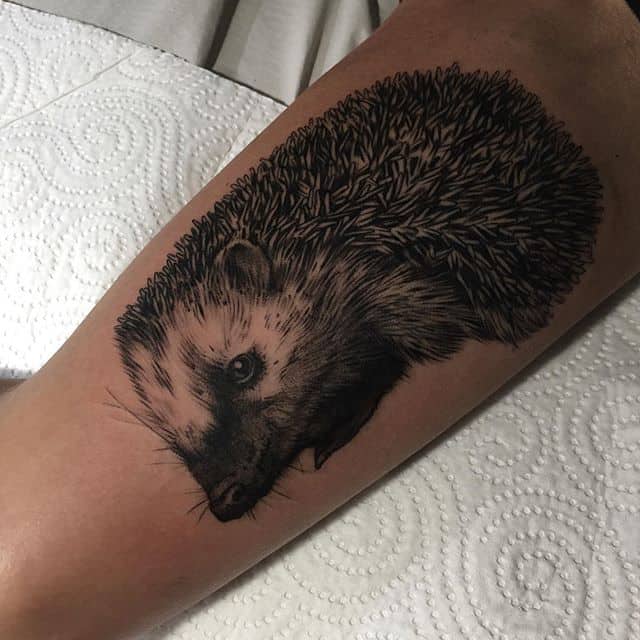 ёж тату