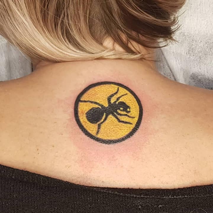 тату продиджи