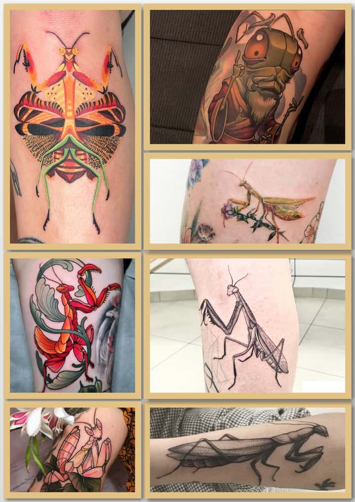 богомол тату