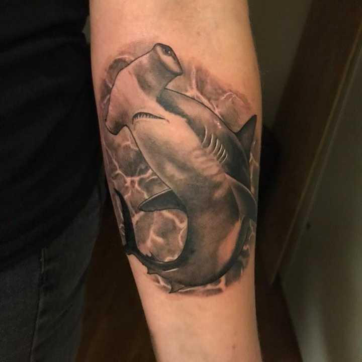 акула молот тату на предплечье