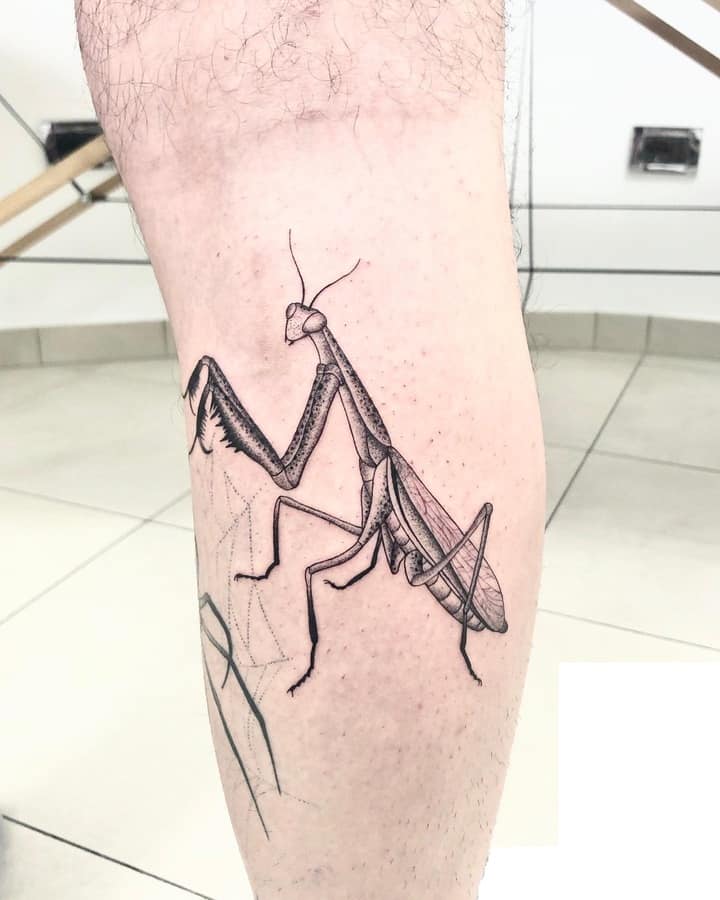 богомол тату чб