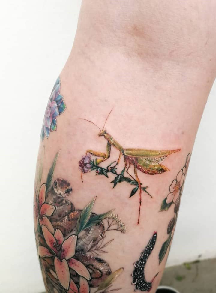 богомол тату женское