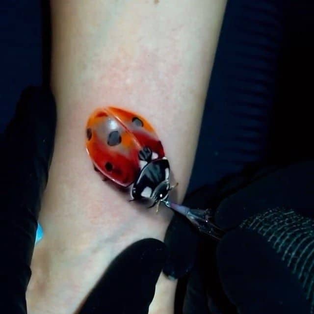 тату божья коровка