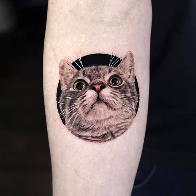 красивое тату кот