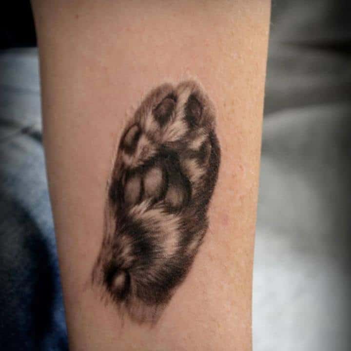 тату лапка