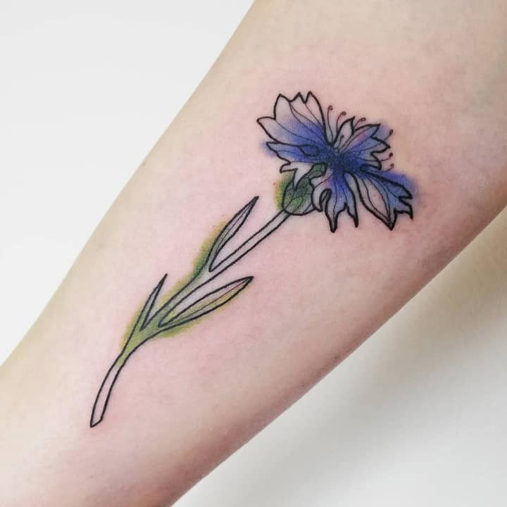 василек тату на руке