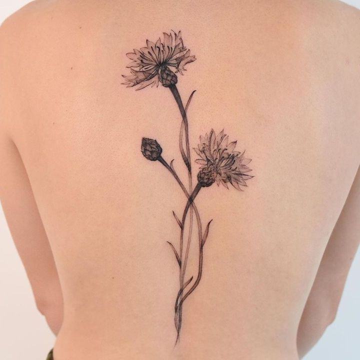 василек тату на спине