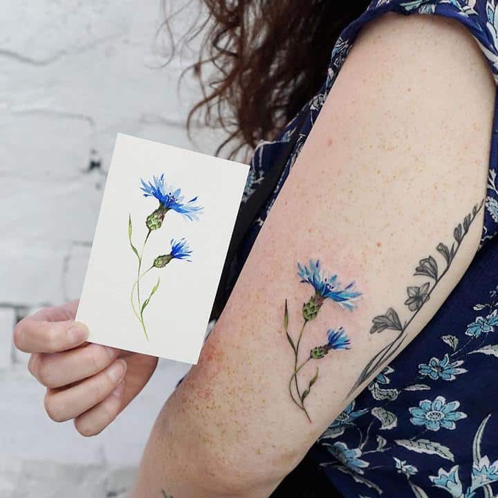 василек тату на плече