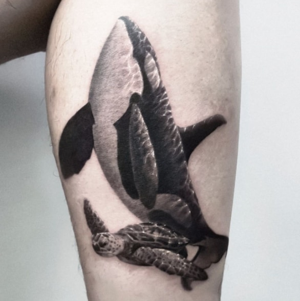 касатка и черепаха тату