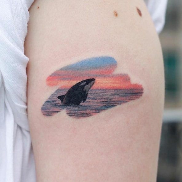 касатка тату цвет