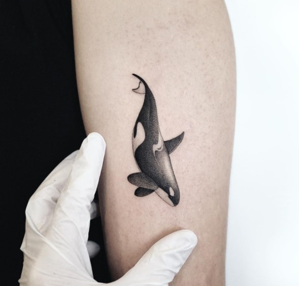 касатка тату чб