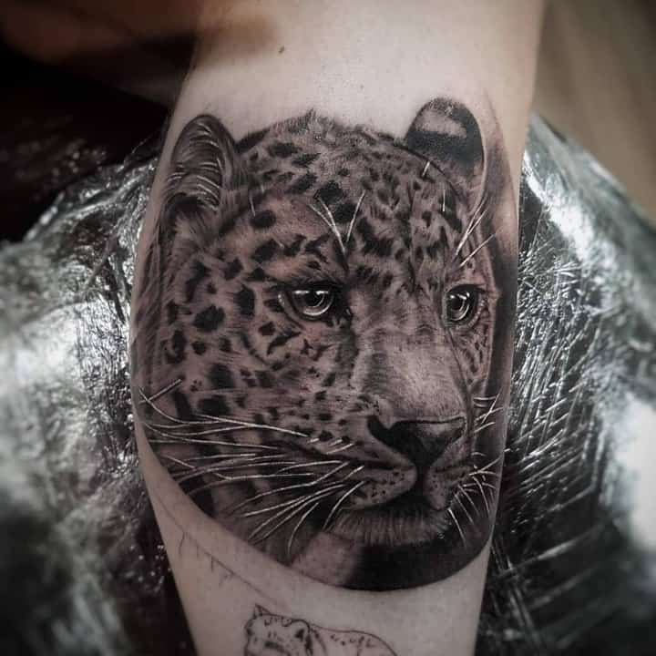 снежный барс тату морда