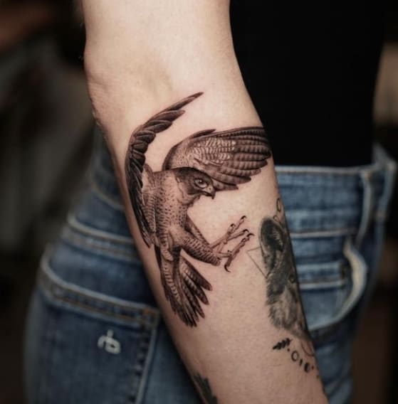 ястреб тату женское