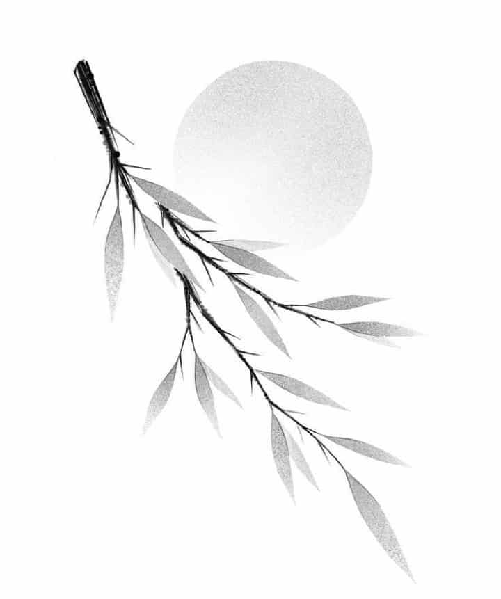 женский тату эскиз веточка