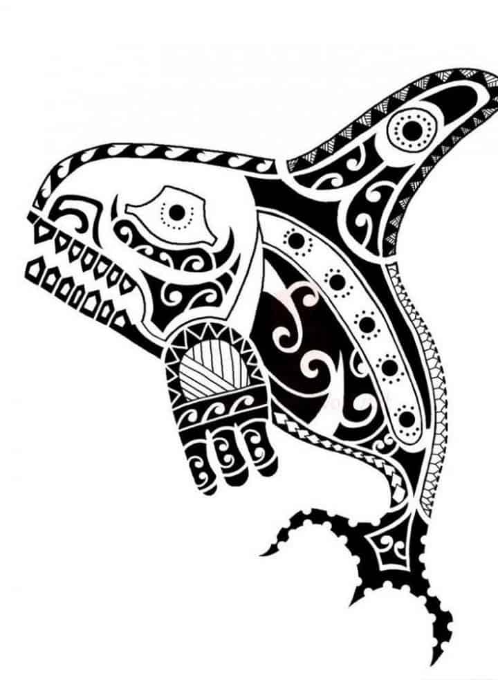 акула полинезия эскиз