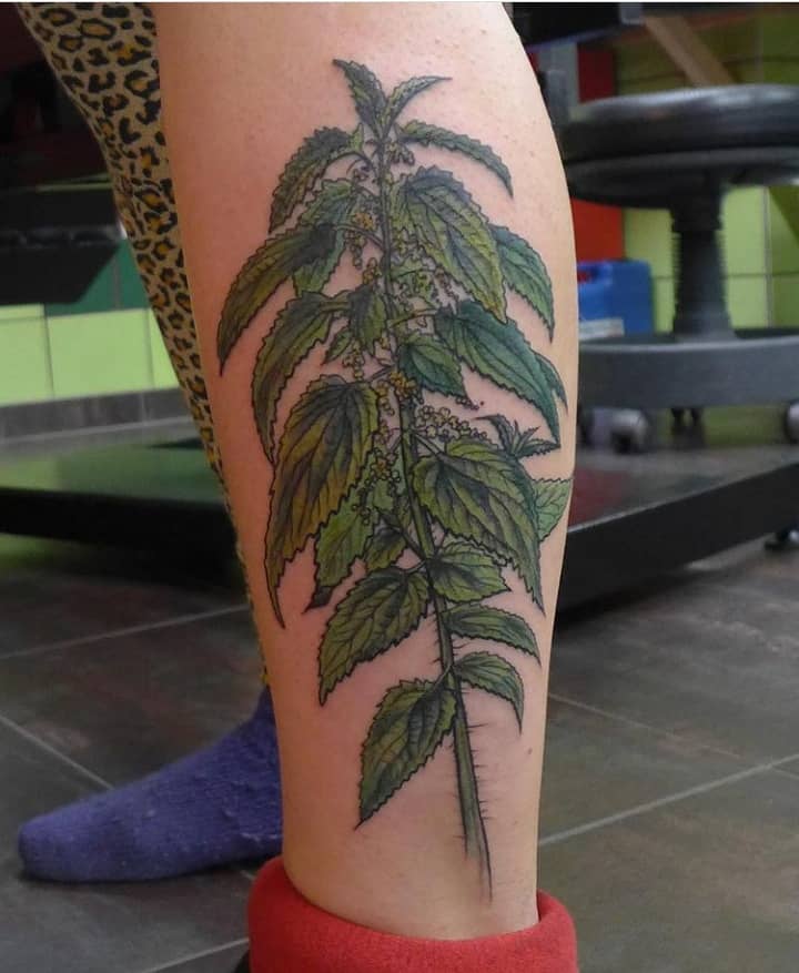 крапива тату на ноге