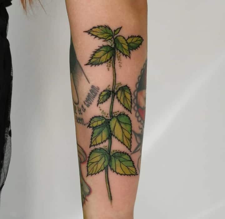 крапива тату на руке