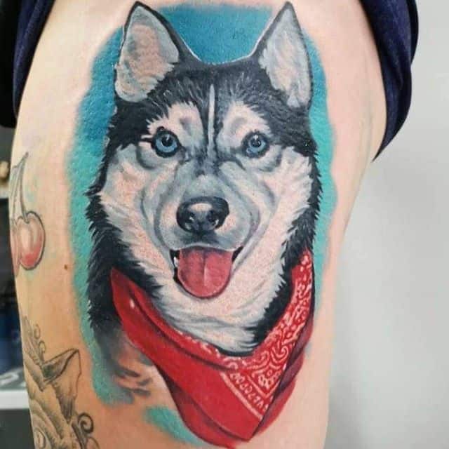 хаски тату цветное