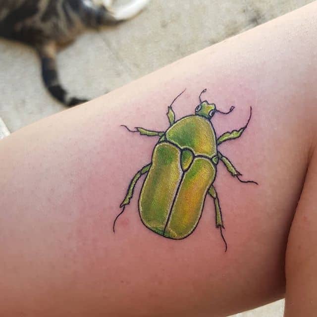 тату жук майский