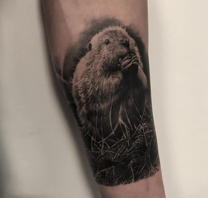 бобер тату чб