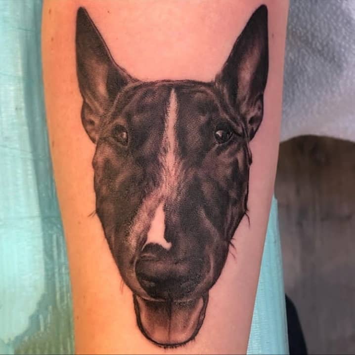 бультерьер тату чб