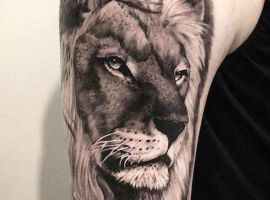 лев тату