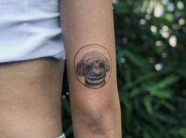 собака на руке