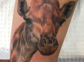 жираф тату реал
