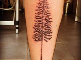 Дерево тату