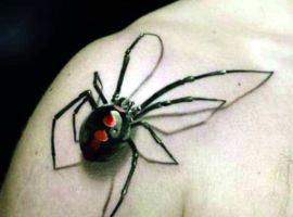 3д паук на тілі