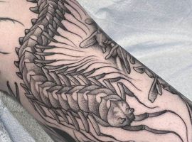 тату сколопендра