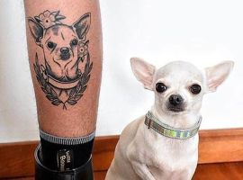татуировка чихуахуа