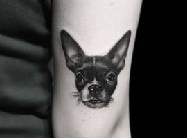 тату чихуахуа