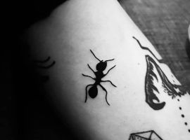 тату муравей на руке