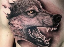 тату волк на груди яб