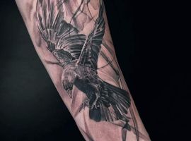 тату птах на передпліччі