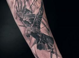 тату птах на передпліччі