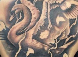 Тату лебедь на спине