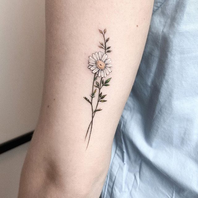 ромашка тату цветная