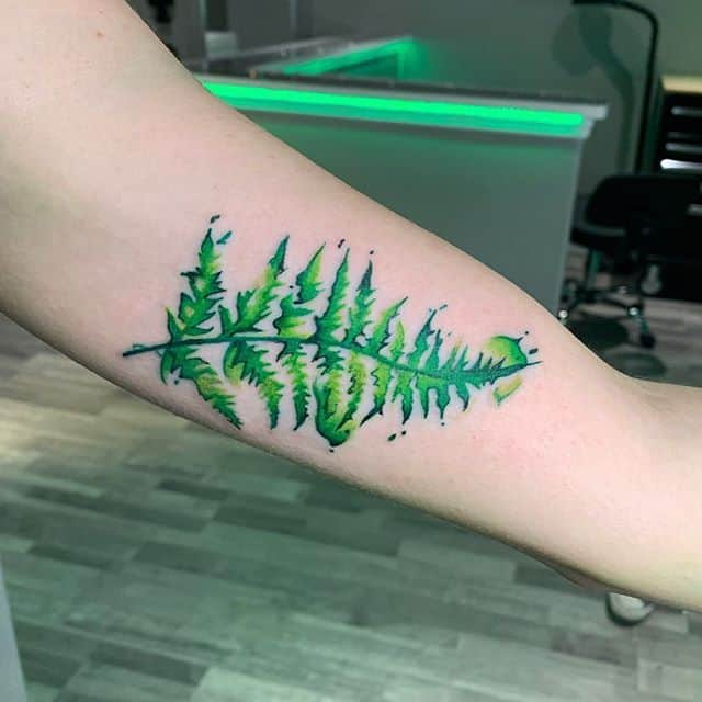 папоротник тату цвет