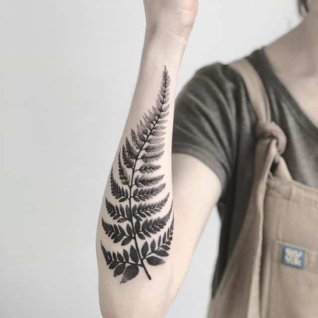 папоротник тату чб