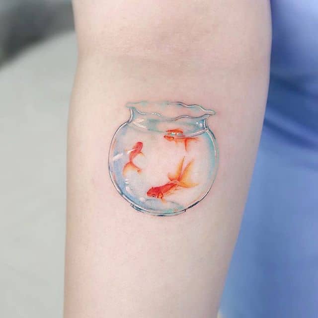 золотые рыбки в аквариуме тату