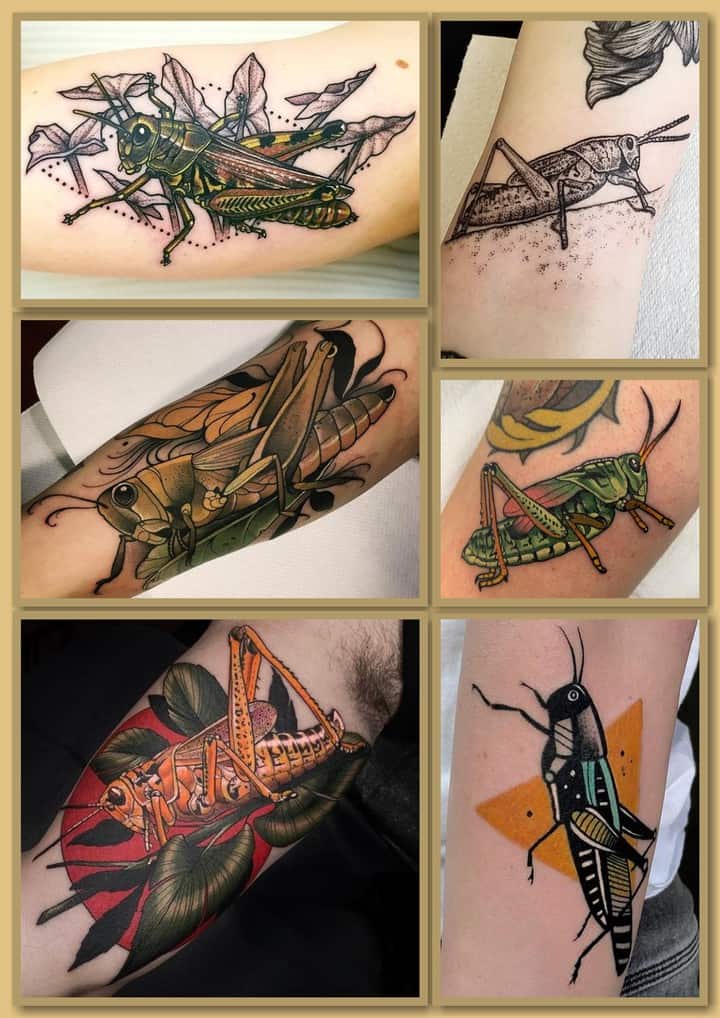 Кузнечик саранча тату