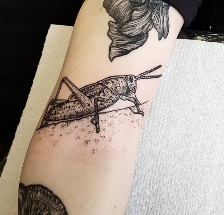 Кузнечик тату чб