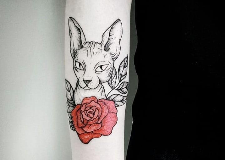 Тату сфинкс чб