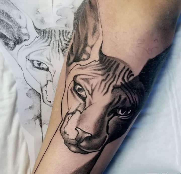 Тату сфинкс на руке