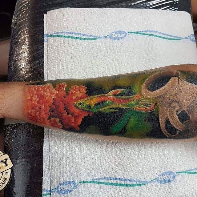 тату аквариум